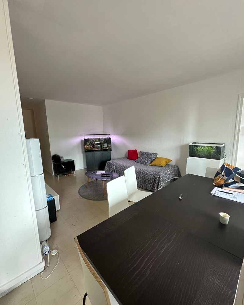 Salon_4_Avant_A Un petit salon avec un lit, des aquariums, une table à manger sombre avec des chaises blanches et des papiers éparpillés.