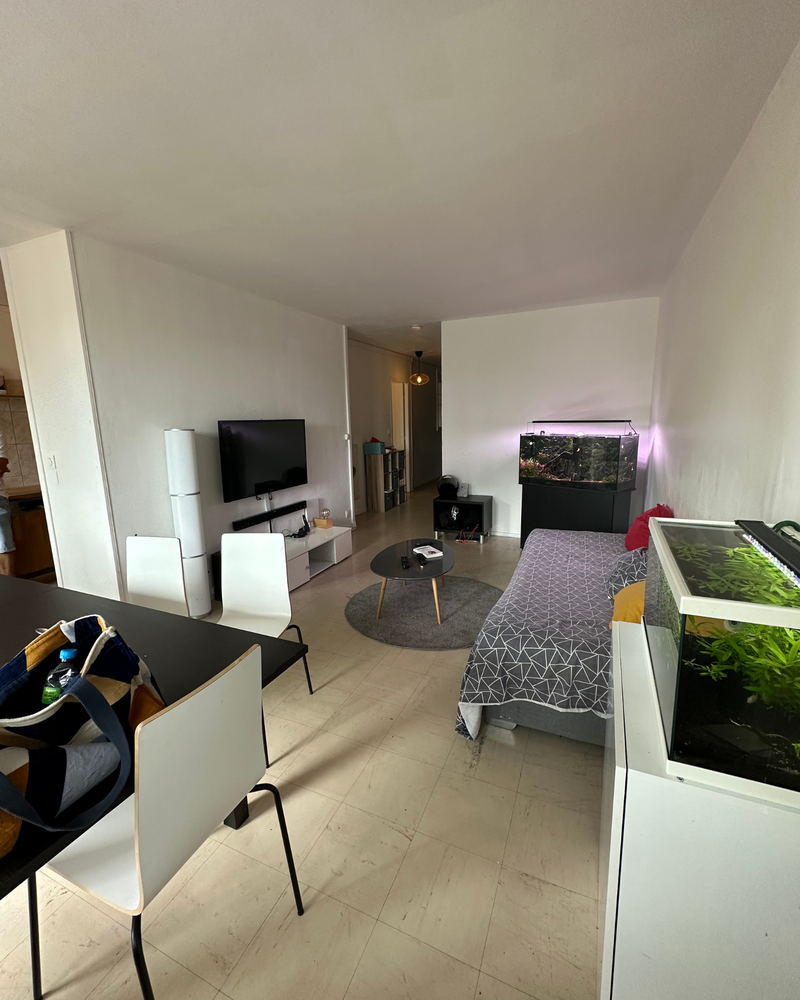 Salon_4_Avant_C Appartement ouvert avec murs verts, parquet et cuisine carrelée orange. Il dispose d'un petit passe-plat et d'un luminaire suspendu.